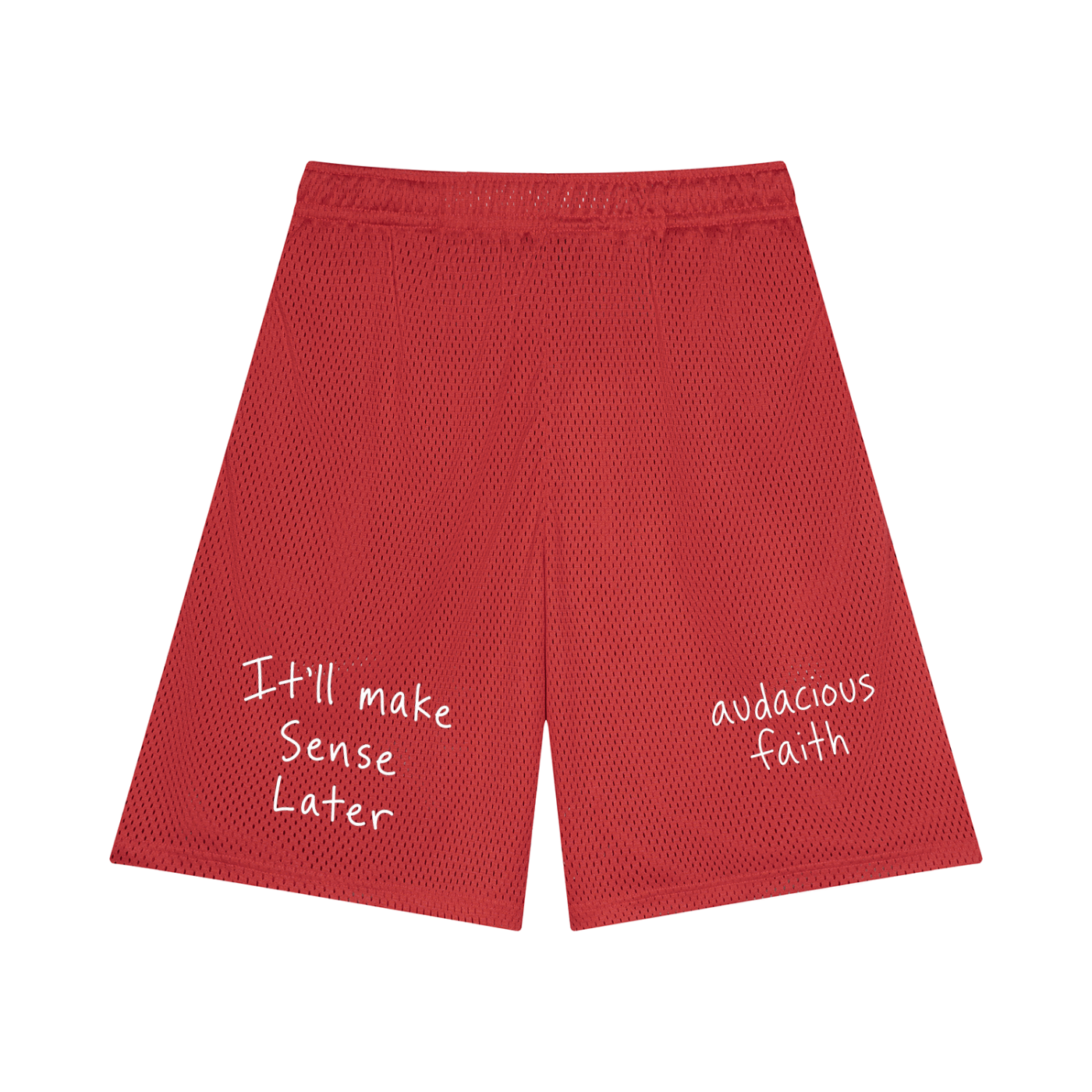 It’ll Make Sense Later Mesh Shorts